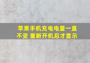 苹果手机充电电量一直不变 重新开机后才显示